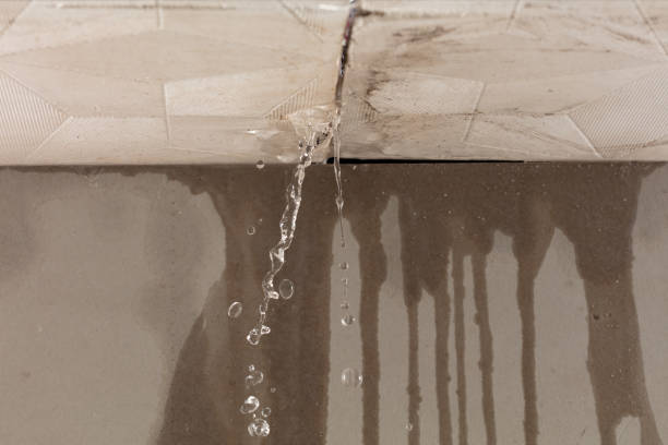Professional Structural Drying technician working in Rocky Ridge, OH
